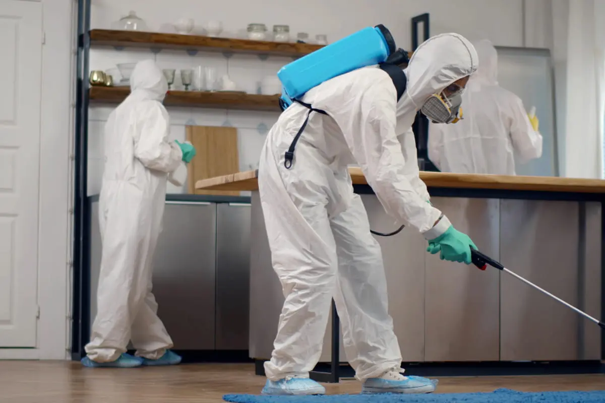 3 agenți DDD executând operațiunea de dezinfecție